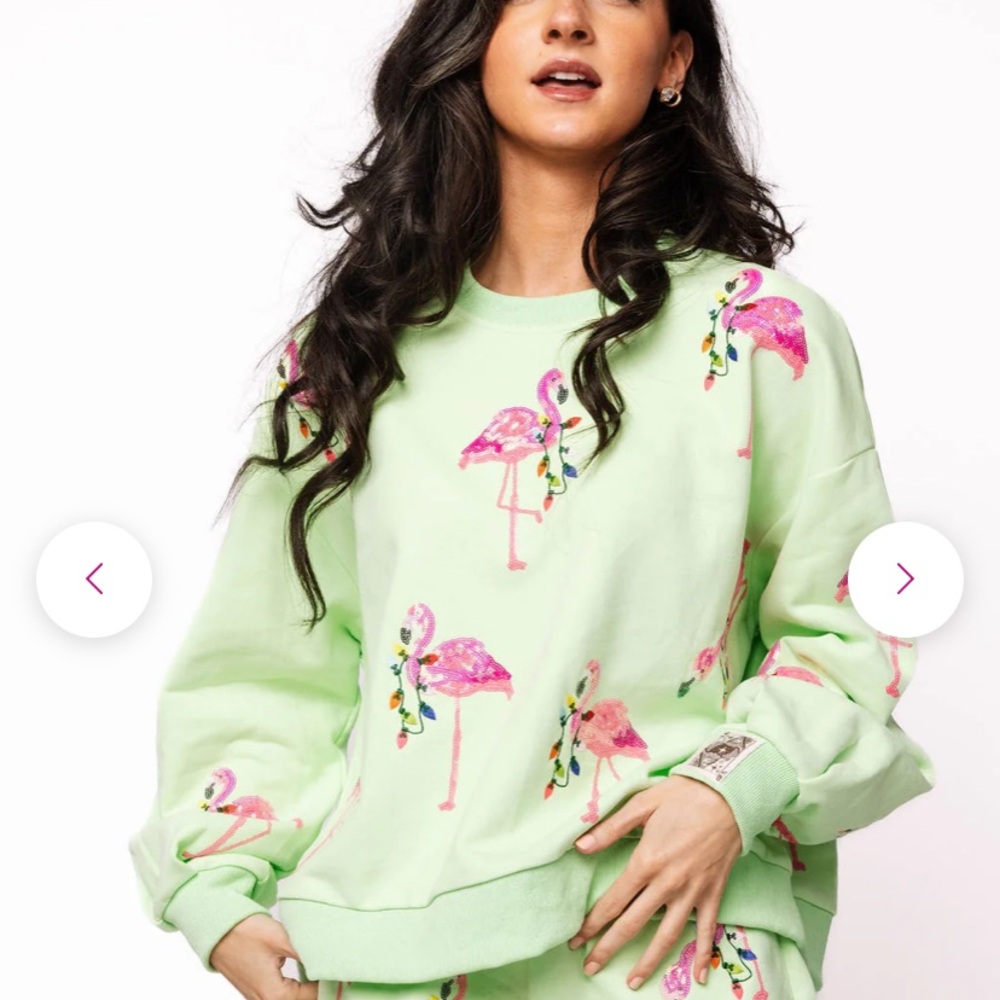 ISO Queen of Sparkles * In Search of 🩷💚 Flamingo Print Green Sweatshirt